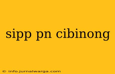 sipp pn cibinong