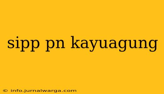 sipp pn kayuagung