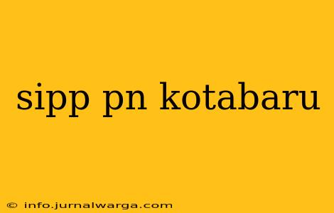 sipp pn kotabaru