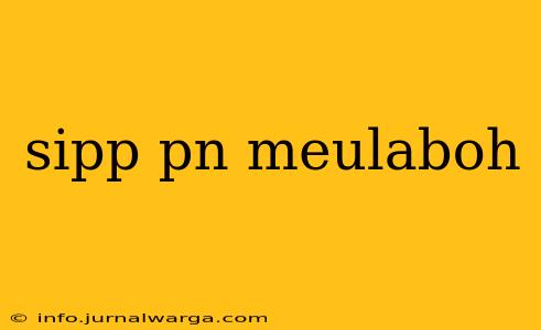 sipp pn meulaboh