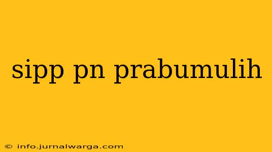 sipp pn prabumulih