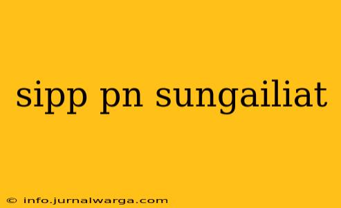 sipp pn sungailiat