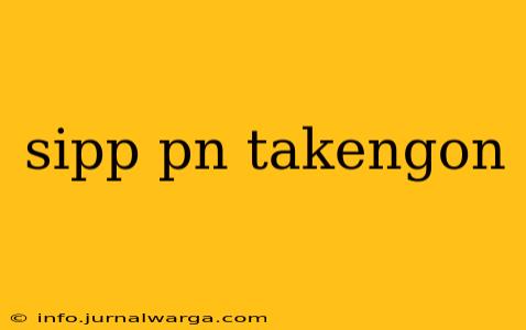 sipp pn takengon