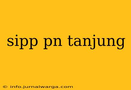 sipp pn tanjung