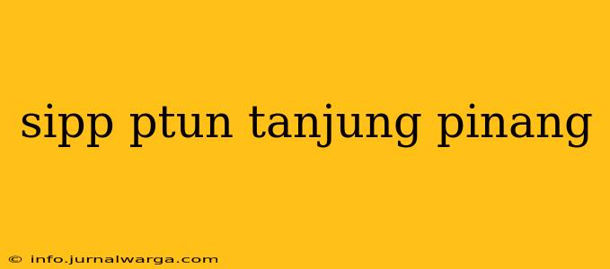 sipp ptun tanjung pinang