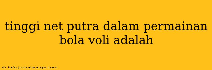 tinggi net putra dalam permainan bola voli adalah