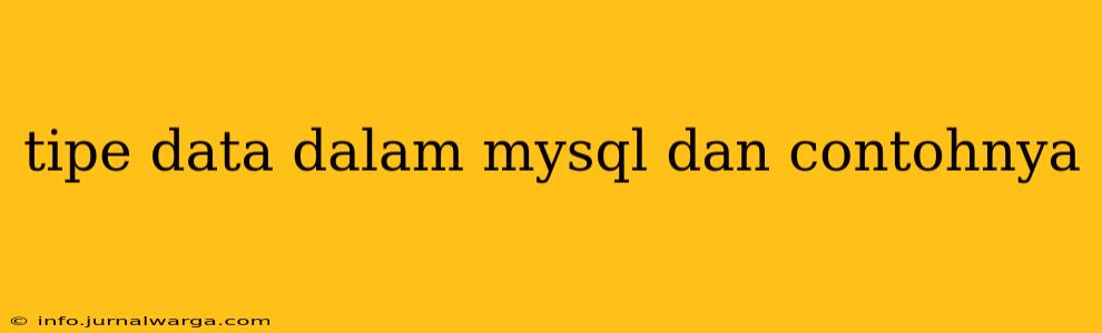 tipe data dalam mysql dan contohnya