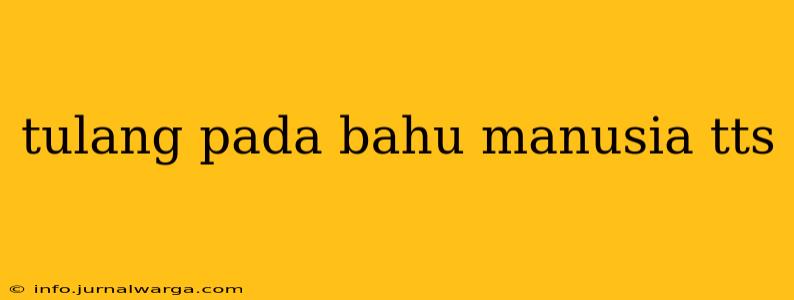tulang pada bahu manusia tts