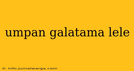 umpan galatama lele