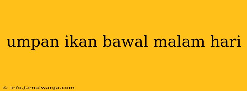 umpan ikan bawal malam hari
