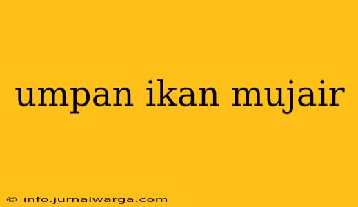 umpan ikan mujair