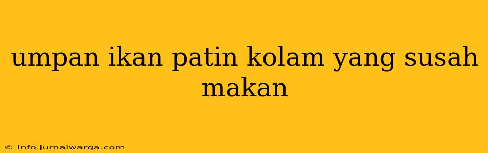 umpan ikan patin kolam yang susah makan