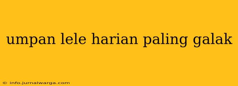 umpan lele harian paling galak