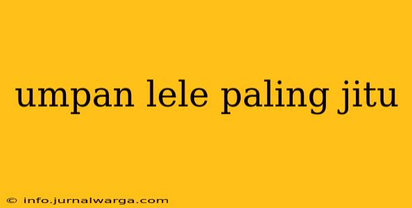 umpan lele paling jitu