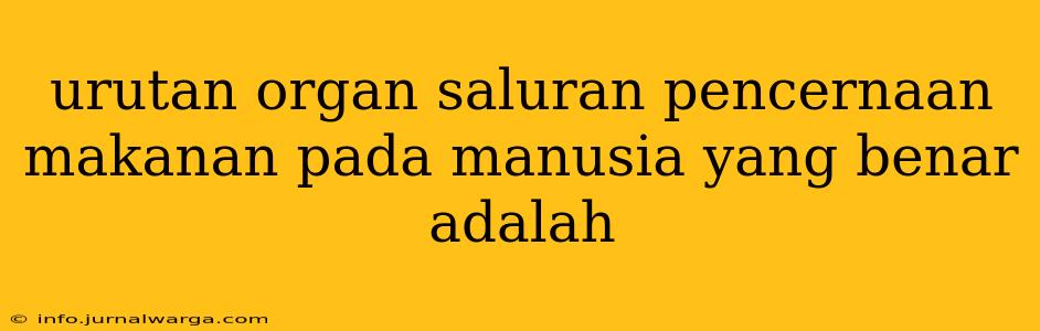 urutan organ saluran pencernaan makanan pada manusia yang benar adalah