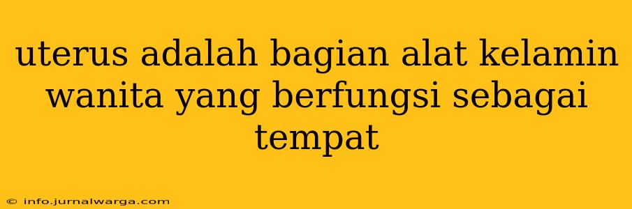 uterus adalah bagian alat kelamin wanita yang berfungsi sebagai tempat